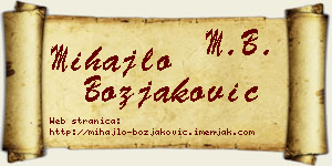 Mihajlo Božjaković vizit kartica